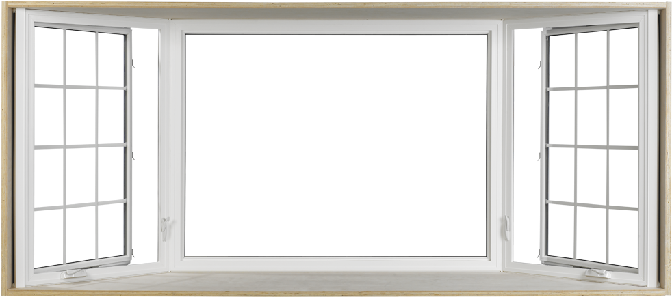 Window